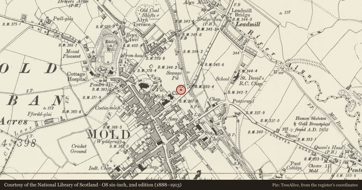 Ordnance Survey six-inch map, 2nd edition (1888–1913) covering the location of Maes y Vaynor, Mold, Flintshire, with a pin at the register's coordinates