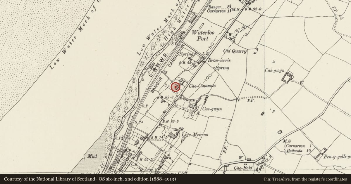 Ordnance Survey six-inch map, 2nd edition (1888–1913) covering the location of Cae Synamon, Caernarfon, Gwynedd, with a pin at the register's coordinates