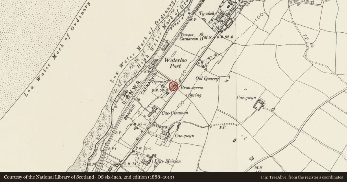 Ordnance Survey six-inch map, 2nd edition (1888–1913) covering the location of Bronceris, Caernarfon, Gwynedd, with a pin at the register's coordinates