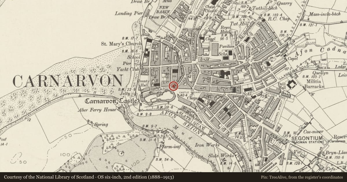 Ordnance Survey six-inch map, 2nd edition (1888–1913) covering the location of Palace Cafe, Caernarfon, Gwynedd, with a pin at the register's coordinates