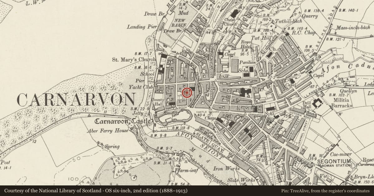 Ordnance Survey six-inch map, 2nd edition (1888–1913) covering the location of 8 Palace Street, Caernarfon, Gwynedd, with a pin at the register's coordinates