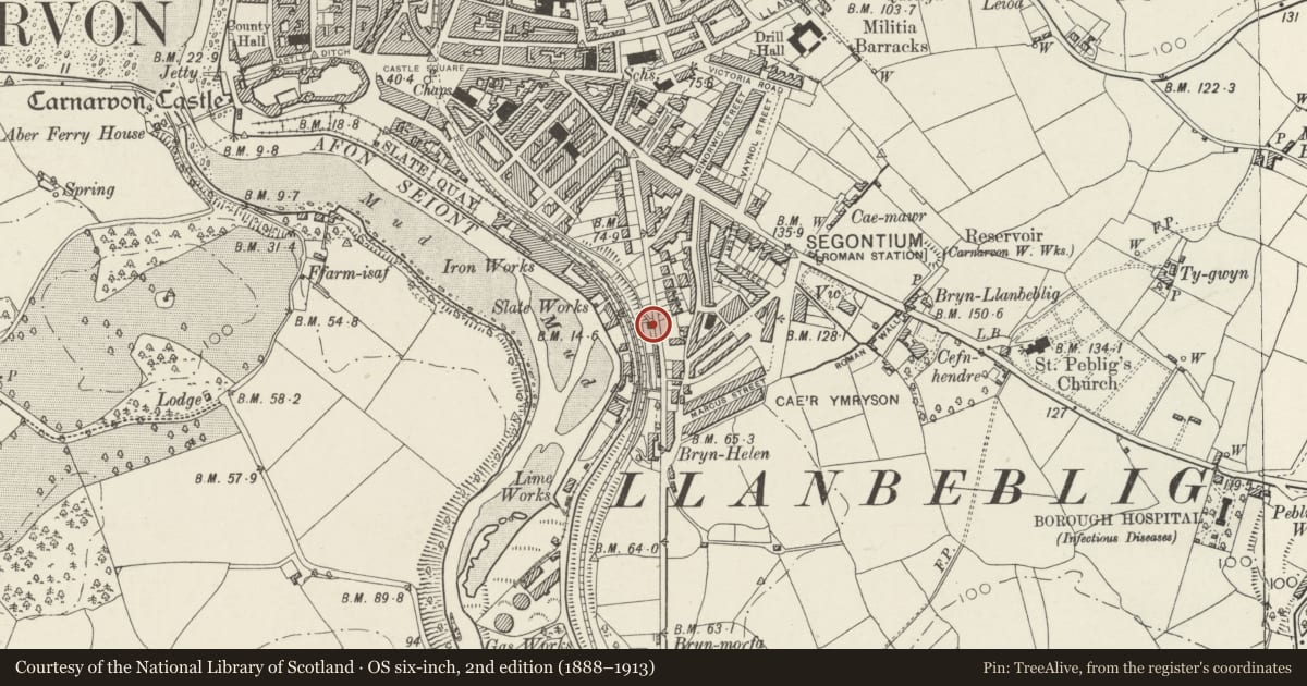 Ordnance Survey six-inch map, 2nd edition (1888–1913) covering the location of Former Carnarvon Grammar and Collegiate School, including gate, gate pier, and basement steps, Caernarfon, Gwynedd, with a pin at the register's coordinates