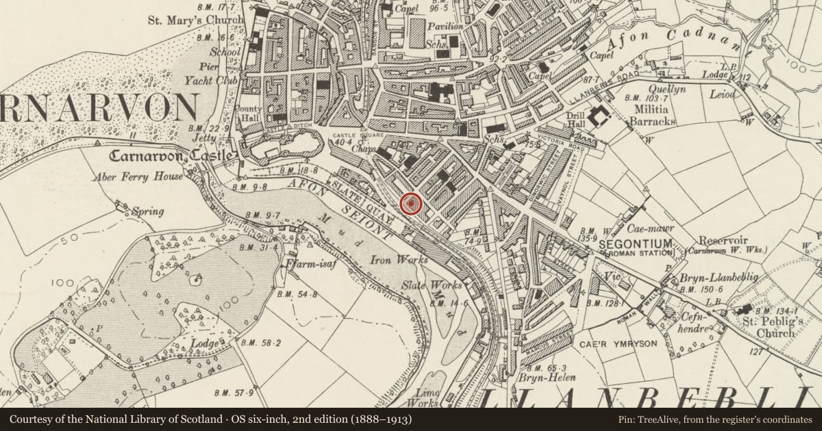 Ordnance Survey six-inch map, 2nd edition (1888–1913) covering the location of 41 New Street including forecourt railings, Caernarfon, Gwynedd, with a pin at the register's coordinates