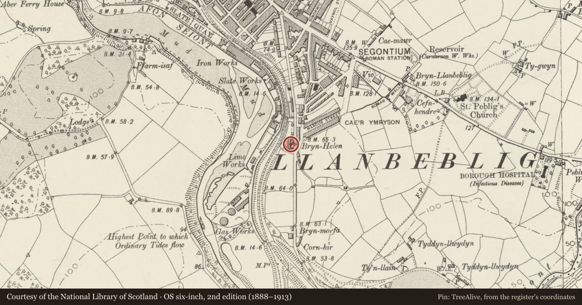 Ordnance Survey six-inch map, 2nd edition (1888–1913) covering the location of Llwyn Helen, Caernarfon, Gwynedd, with a pin at the register's coordinates