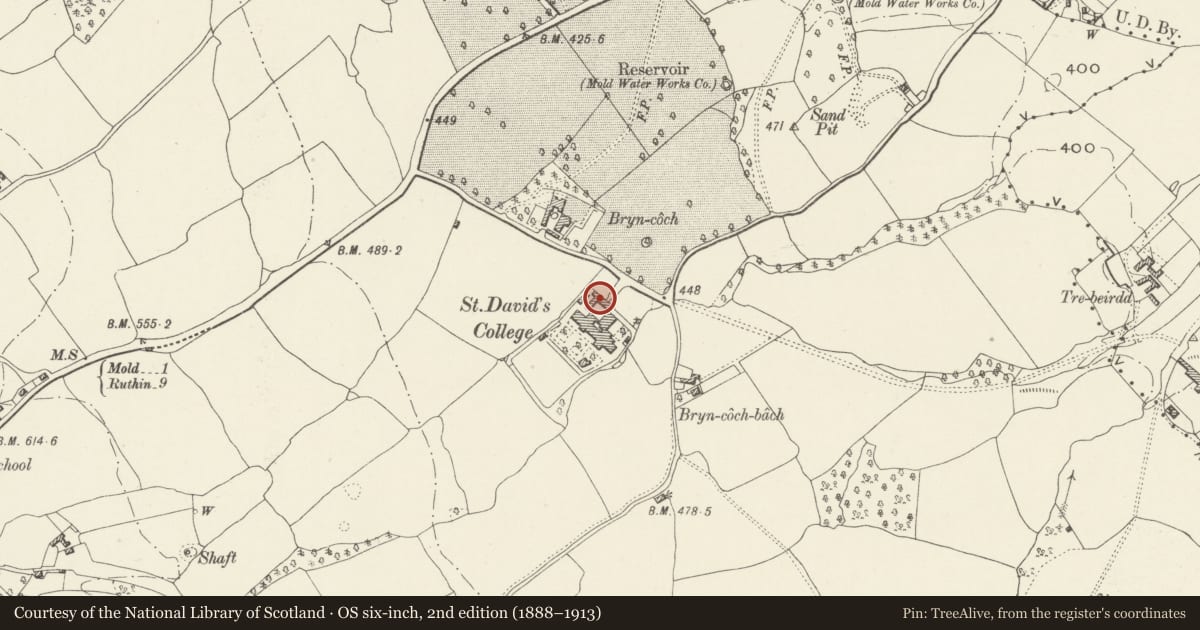 Ordnance Survey six-inch map, 2nd edition (1888–1913) covering the location of Former Prison Gatehouse & Governor's Residence (now Greystones & St. David's), Mold, Flintshire, with a pin at the register's coordinates