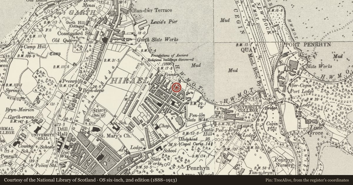 Ordnance Survey six-inch map, 2nd edition (1888–1913) covering the location of Chick King (including 80 Ambrose Street), Bangor, Gwynedd, with a pin at the register's coordinates