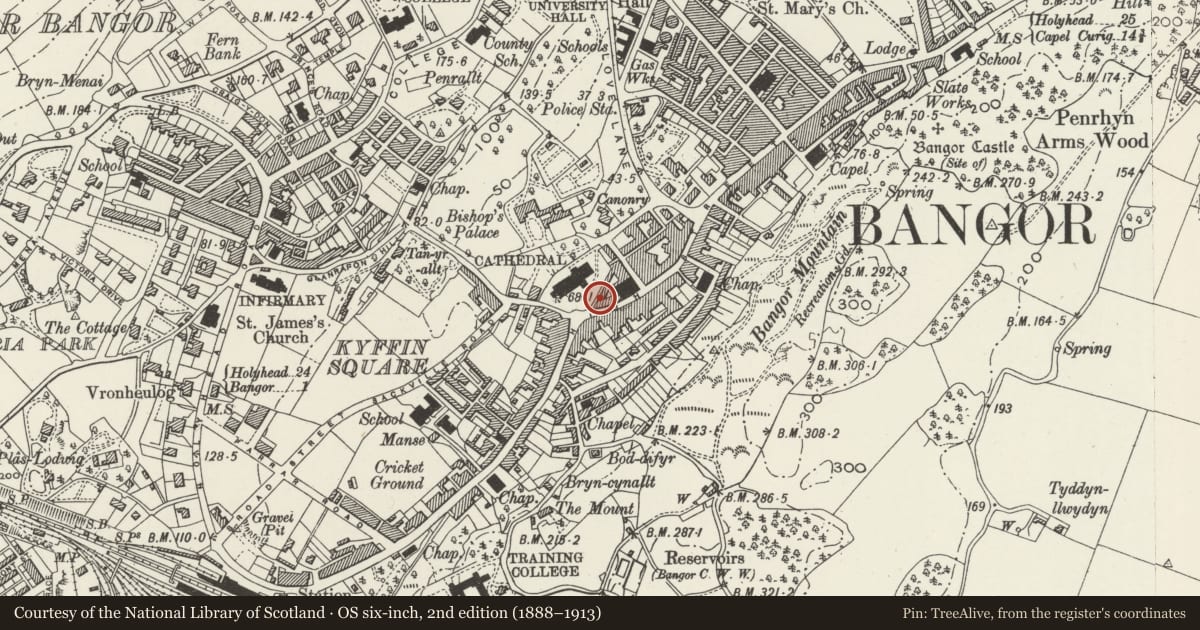 Ordnance Survey six-inch map, 2nd edition (1888–1913) covering the location of 3 Bishop's Close, Bangor, Gwynedd, with a pin at the register's coordinates