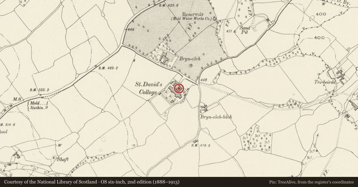 Ordnance Survey six-inch map, 2nd edition (1888–1913) covering the location of Former Prison Workshop to rear of Greystone's & St. David's, Mold, Flintshire, with a pin at the register's coordinates