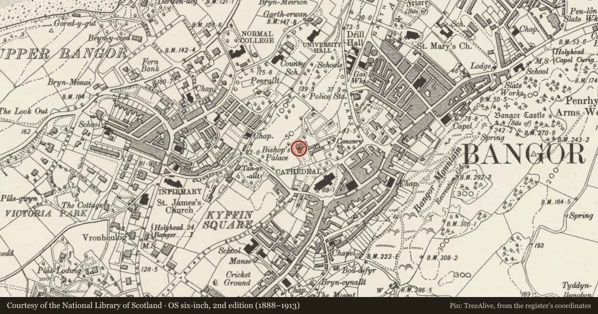Ordnance Survey six-inch map, 2nd edition (1888–1913) covering the location of Town Hall, Bangor, Gwynedd, with a pin at the register's coordinates