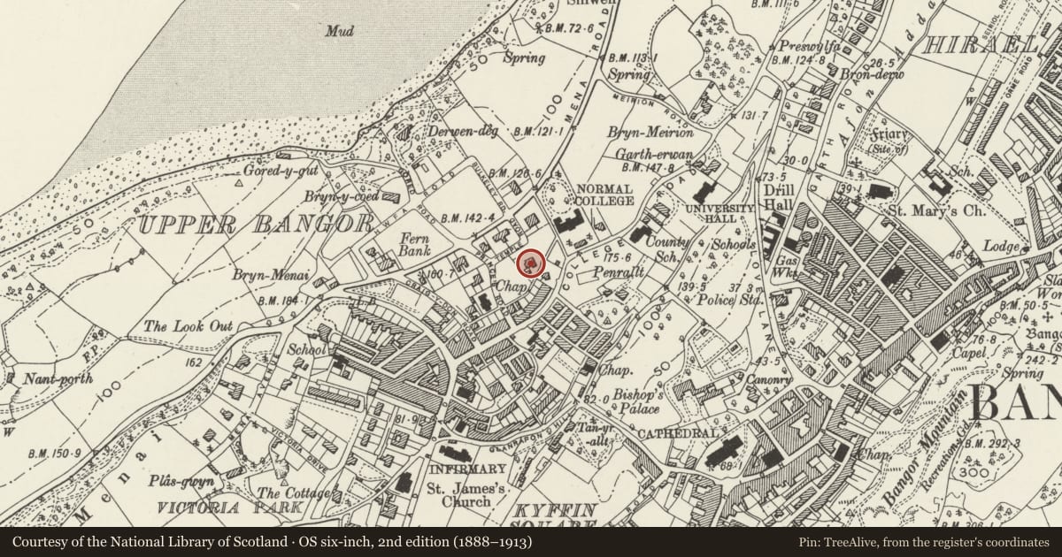 Ordnance Survey six-inch map, 2nd edition (1888–1913) covering the location of Bryn Afon (Centre for Social Policy Research and Development), Bangor, Gwynedd, with a pin at the register's coordinates