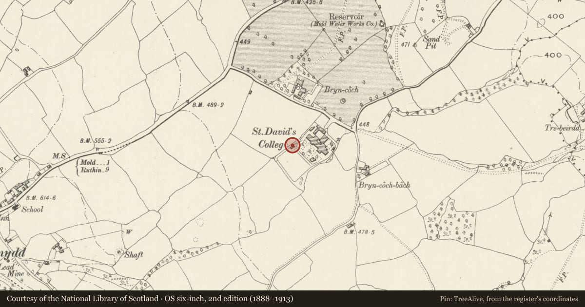 Ordnance Survey six-inch map, 2nd edition (1888–1913) covering the location of Former Prison Enclosure Wall behind Greystones & St. David's, Mold, Flintshire, with a pin at the register's coordinates