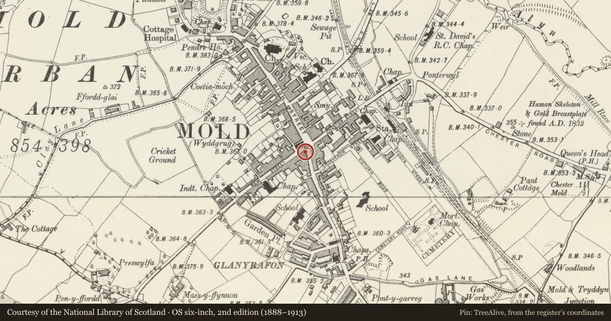 Ordnance Survey six-inch map, 2nd edition (1888–1913) covering the location of Vaughan Davies, Mold, Flintshire, with a pin at the register's coordinates