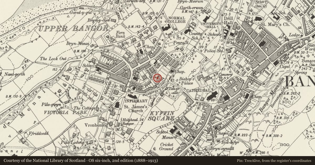 Ordnance Survey six-inch map, 2nd edition (1888–1913) covering the location of Mount Pleasant Terrace, Bangor, Gwynedd, with a pin at the register's coordinates