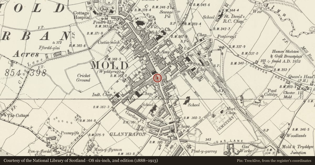 Ordnance Survey six-inch map, 2nd edition (1888–1913) covering the location of Jones & Son, Mold, Flintshire, with a pin at the register's coordinates
