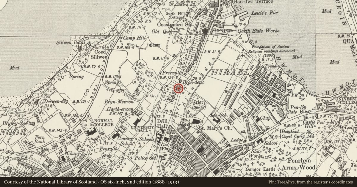 Ordnance Survey six-inch map, 2nd edition (1888–1913) covering the location of Erw Fair, Bangor, Gwynedd, with a pin at the register's coordinates