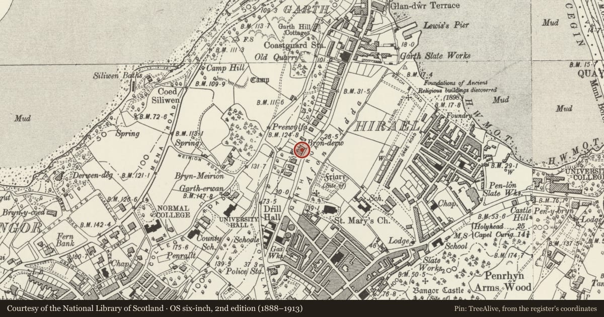 Ordnance Survey six-inch map, 2nd edition (1888–1913) covering the location of Erw Fair, Bangor, Gwynedd, with a pin at the register's coordinates