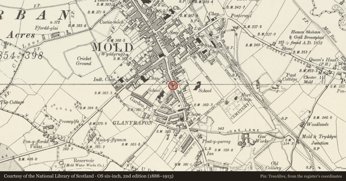Ordnance Survey six-inch map, 2nd edition (1888–1913) covering the location of 49 Wrexham Street, Mold, Flintshire, with a pin at the register's coordinates