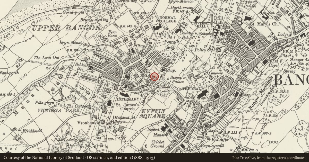 Ordnance Survey six-inch map, 2nd edition (1888–1913) covering the location of 10 Brynteg Terrace, Bangor, Gwynedd, with a pin at the register's coordinates