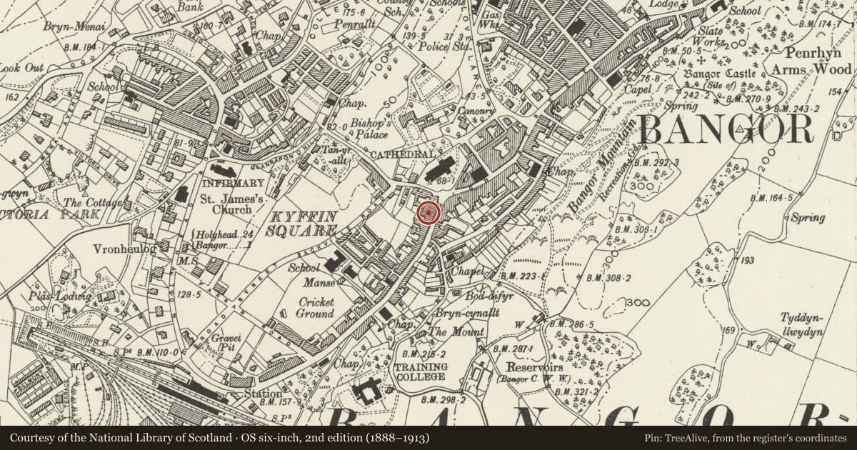 Ordnance Survey six-inch map, 2nd edition (1888–1913) covering the location of Alton Murphy, Bangor, Gwynedd, with a pin at the register's coordinates