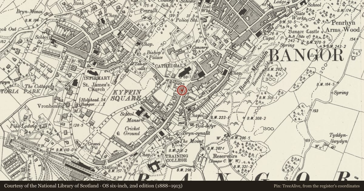 Ordnance Survey six-inch map, 2nd edition (1888–1913) covering the location of Lady Berwen, Bangor, Gwynedd, with a pin at the register's coordinates
