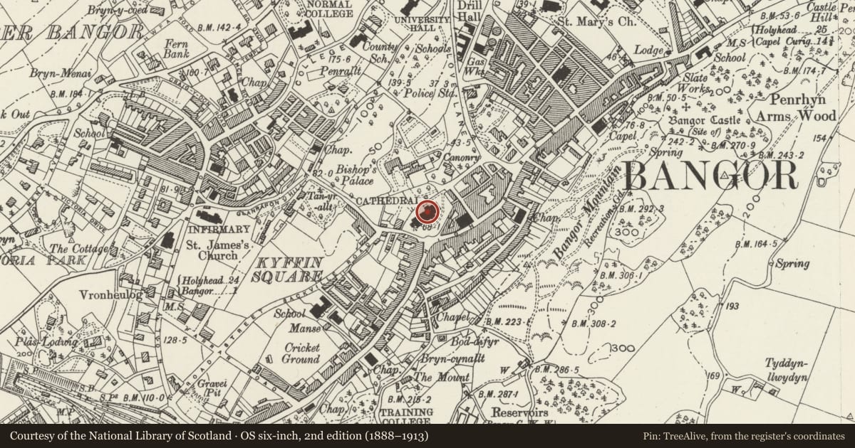 Ordnance Survey six-inch map, 2nd edition (1888–1913) covering the location of Cathedral church of St Deiniol, Bangor, Gwynedd, with a pin at the register's coordinates