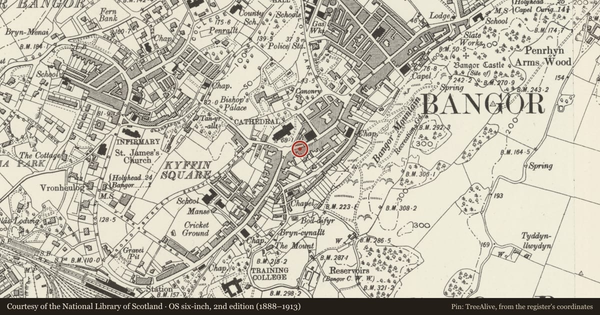 Ordnance Survey six-inch map, 2nd edition (1888–1913) covering the location of King's Arms PH, Bangor, Gwynedd, with a pin at the register's coordinates