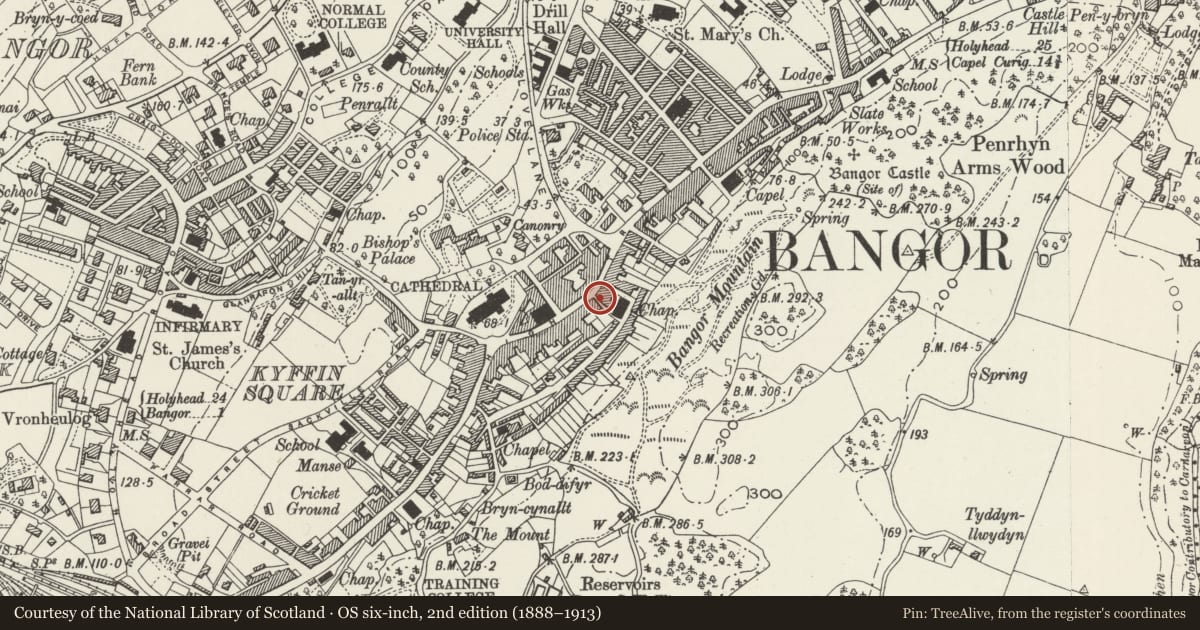 Ordnance Survey six-inch map, 2nd edition (1888–1913) covering the location of J.Welch & Co., Bangor, Gwynedd, with a pin at the register's coordinates