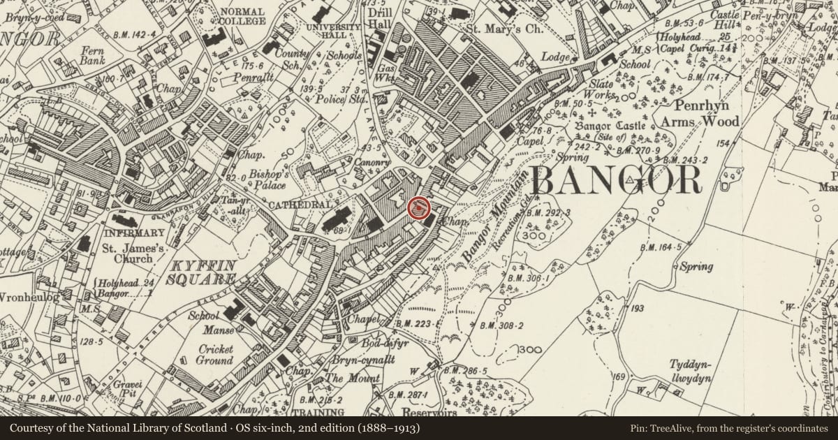 Ordnance Survey six-inch map, 2nd edition (1888–1913) covering the location of Oliver's, Bangor, Gwynedd, with a pin at the register's coordinates