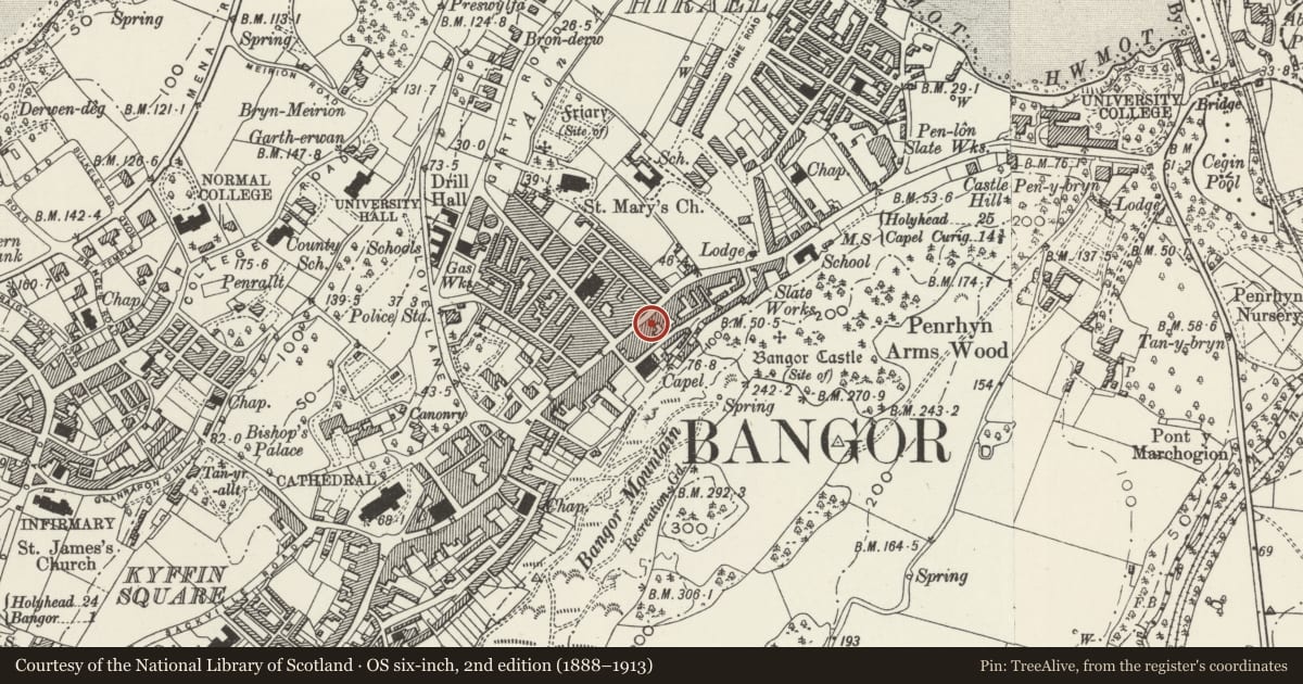 Ordnance Survey six-inch map, 2nd edition (1888–1913) covering the location of Ye Olde Vaults P.H., Bangor, Gwynedd, with a pin at the register's coordinates