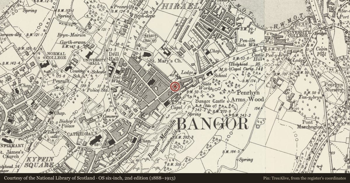 Ordnance Survey six-inch map, 2nd edition (1888–1913) covering the location of E.T.& J.Dogan & Sons, Bangor, Gwynedd, with a pin at the register's coordinates