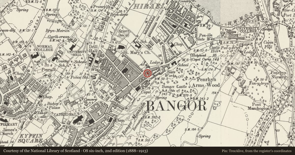 Ordnance Survey six-inch map, 2nd edition (1888–1913) covering the location of Cefni Fruit Co., Bangor, Gwynedd, with a pin at the register's coordinates