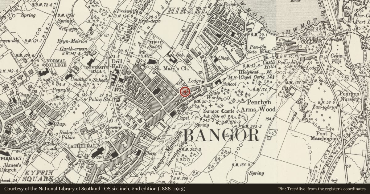 Ordnance Survey six-inch map, 2nd edition (1888–1913) covering the location of Fish & Chip Bar, Bangor, Gwynedd, with a pin at the register's coordinates