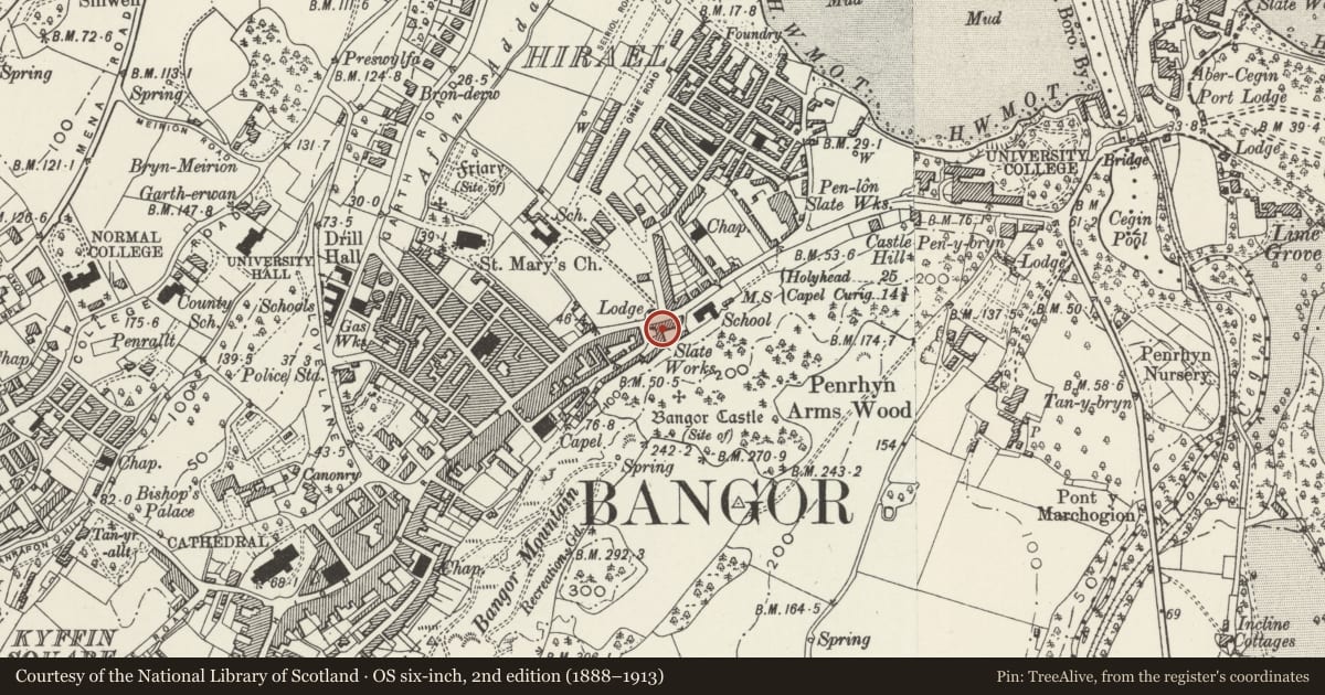 Ordnance Survey six-inch map, 2nd edition (1888–1913) covering the location of Friar's Terrace, Bangor, Gwynedd, with a pin at the register's coordinates
