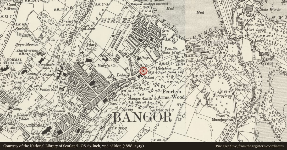 Ordnance Survey six-inch map, 2nd edition (1888–1913) covering the location of Telford Milestone (24) at drive entrance to Bron Castell, Bangor, Gwynedd, with a pin at the register's coordinates