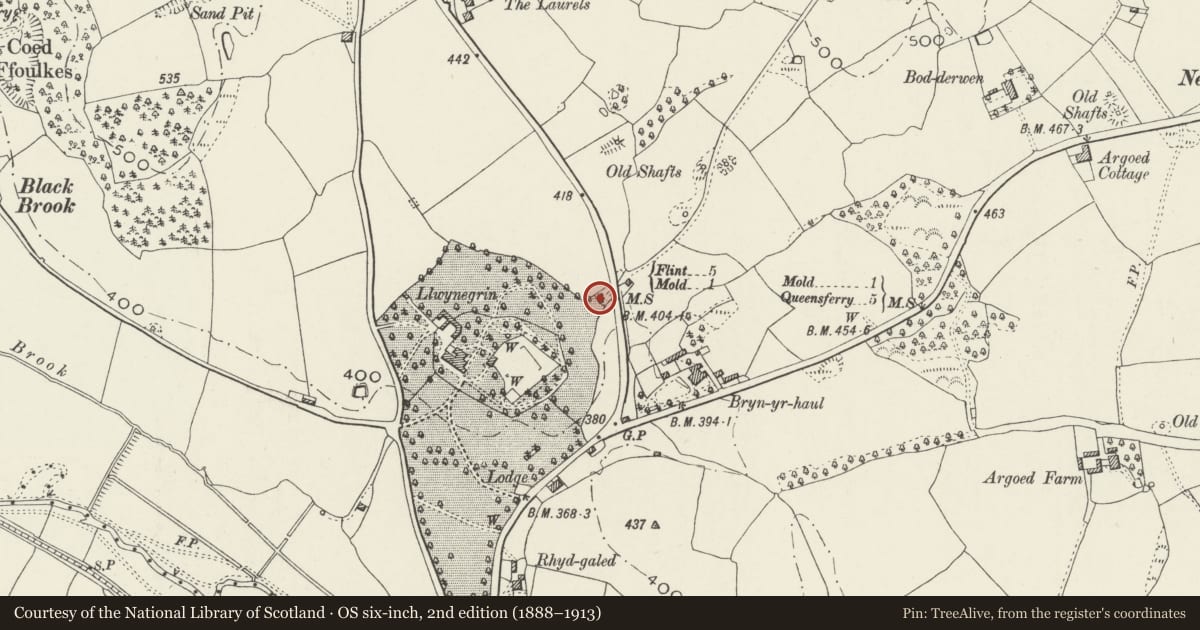 Ordnance Survey six-inch map, 2nd edition (1888–1913) covering the location of Broadway, Mold, Flintshire, with a pin at the register's coordinates