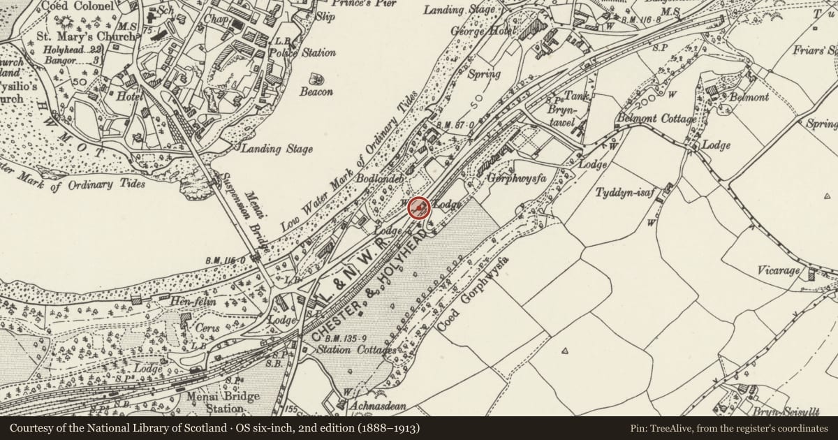 Ordnance Survey six-inch map, 2nd edition (1888–1913) covering the location of Gate Piers, Gates & attached Walls at the end of the Northern Driveway to Y Glyn, Bangor, Gwynedd, with a pin at the register's coordinates