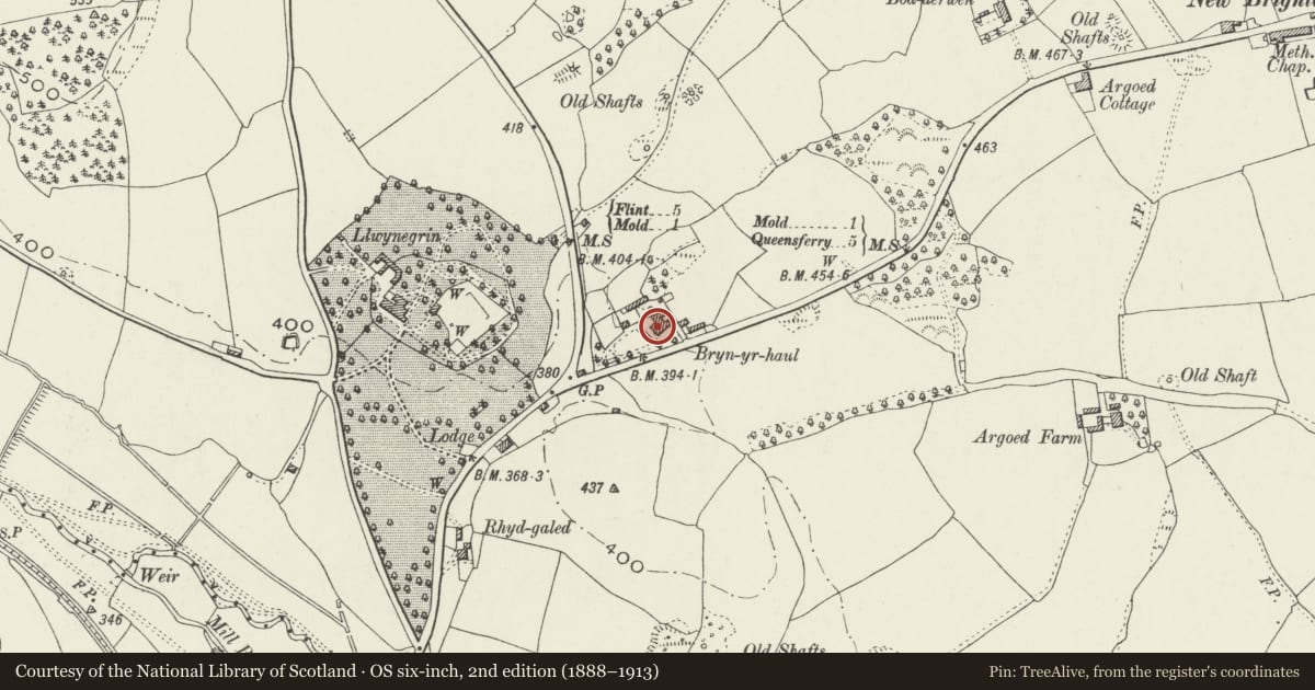Ordnance Survey six-inch map, 2nd edition (1888–1913) covering the location of Bryn-Yr-Haul, Mold, Flintshire, with a pin at the register's coordinates