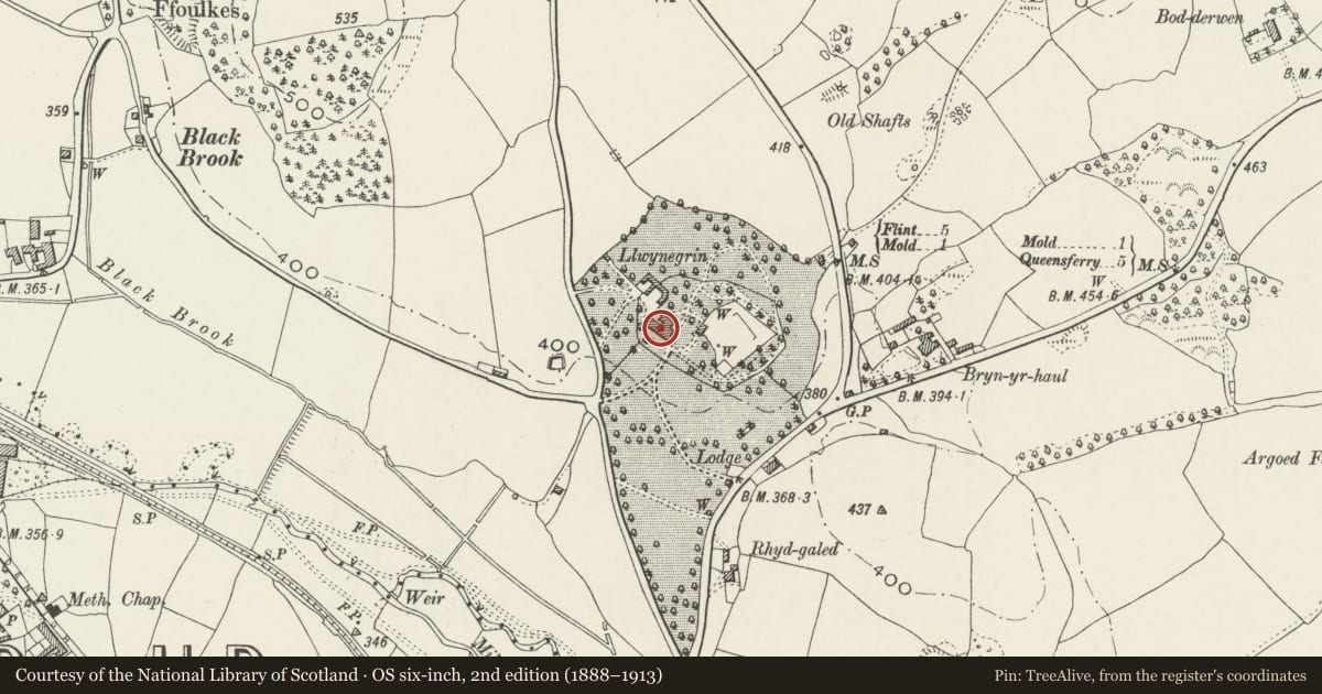 Ordnance Survey six-inch map, 2nd edition (1888–1913) covering the location of Llwynegrin County Civic Centre, Mold, Flintshire, with a pin at the register's coordinates