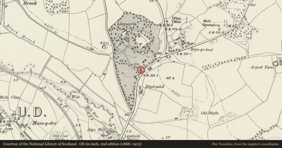 Ordnance Survey six-inch map, 2nd edition (1888–1913) covering the location of Lodge to Llwynegrin, Mold, Flintshire, with a pin at the register's coordinates