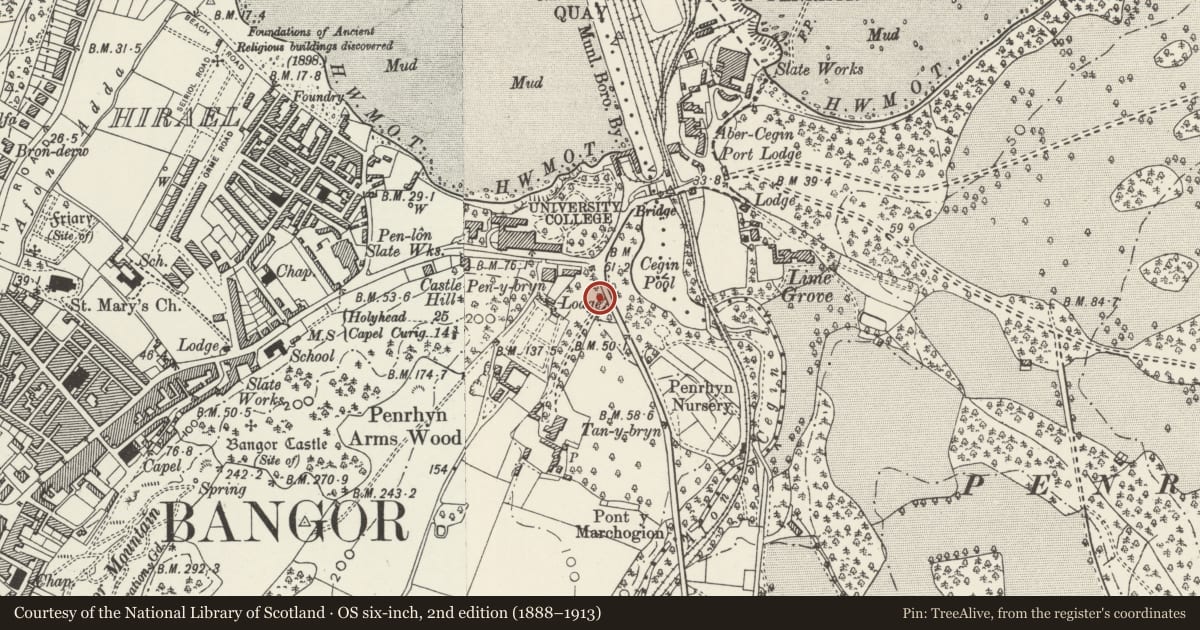 Ordnance Survey six-inch map, 2nd edition (1888–1913) covering the location of Tan-y Bryn Lodge, Bangor, Gwynedd, with a pin at the register's coordinates