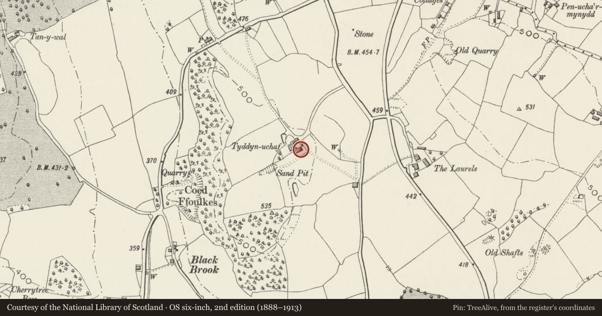 Ordnance Survey six-inch map, 2nd edition (1888–1913) covering the location of Tyddyn Uchaf Farmhouse, Mold, Flintshire, with a pin at the register's coordinates