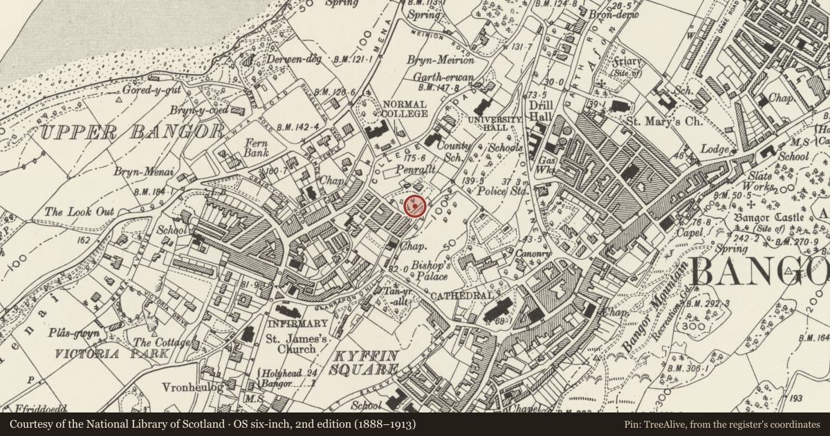 Ordnance Survey six-inch map, 2nd edition (1888–1913) covering the location of Terraced Walls and Gated Entrance to the University College of North Wales Main Building, Bangor, Gwynedd, with a pin at the register's coordinates