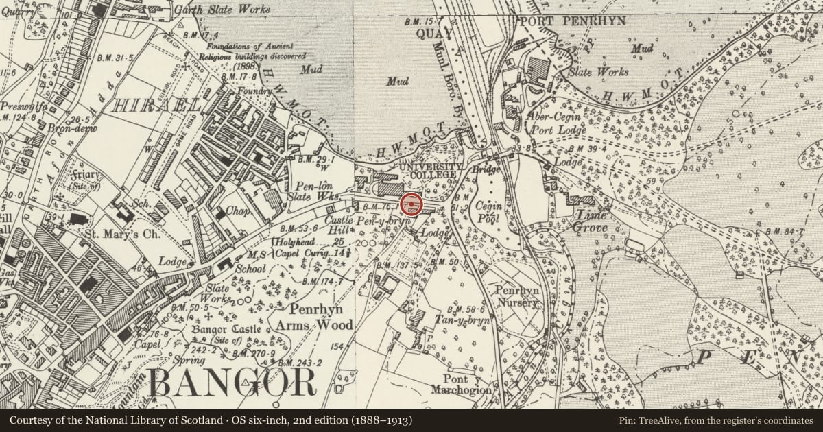 Ordnance Survey six-inch map, 2nd edition (1888–1913) covering the location of Revetment Walls and Railings, Bangor, Gwynedd, with a pin at the register's coordinates