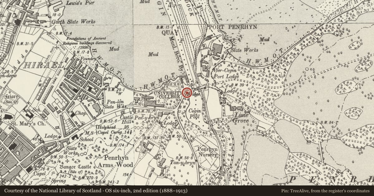 Ordnance Survey six-inch map, 2nd edition (1888–1913) covering the location of Penybryn Bridge, including railings & lamp standards, Bangor, Gwynedd, with a pin at the register's coordinates