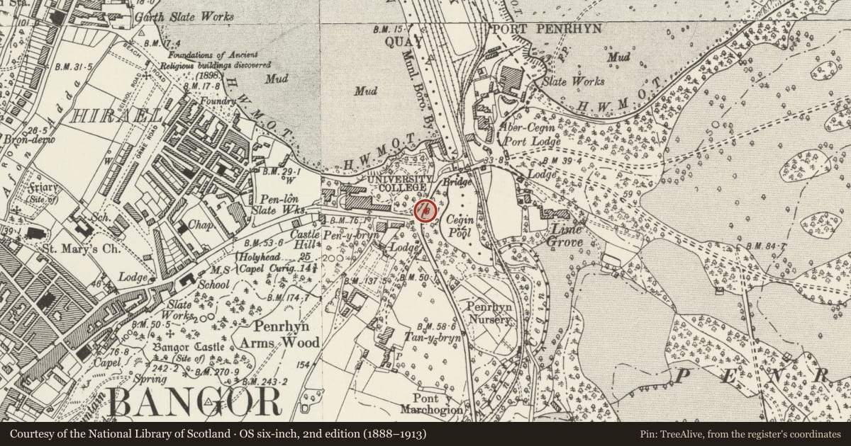 Ordnance Survey six-inch map, 2nd edition (1888–1913) covering the location of Penrhyn Bridge, including parapet walls on the approach road to Penrhyn Castle Port, Bangor, Gwynedd, with a pin at the register's coordinates