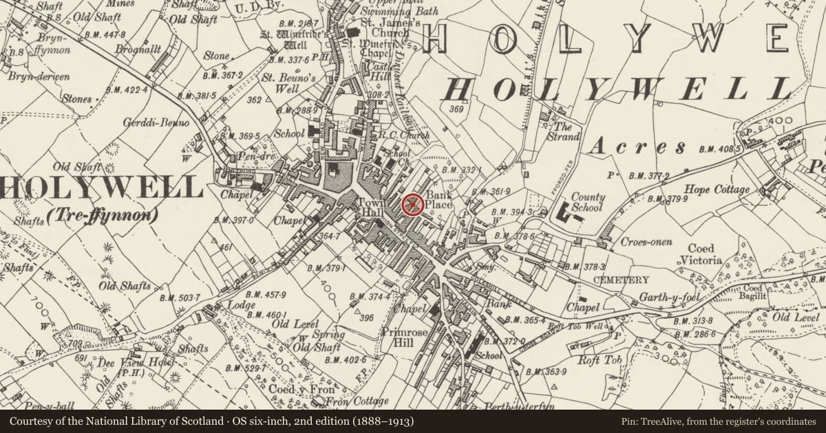Ordnance Survey six-inch map, 2nd edition (1888–1913) covering the location of 7, Holywell, Flintshire, with a pin at the register's coordinates