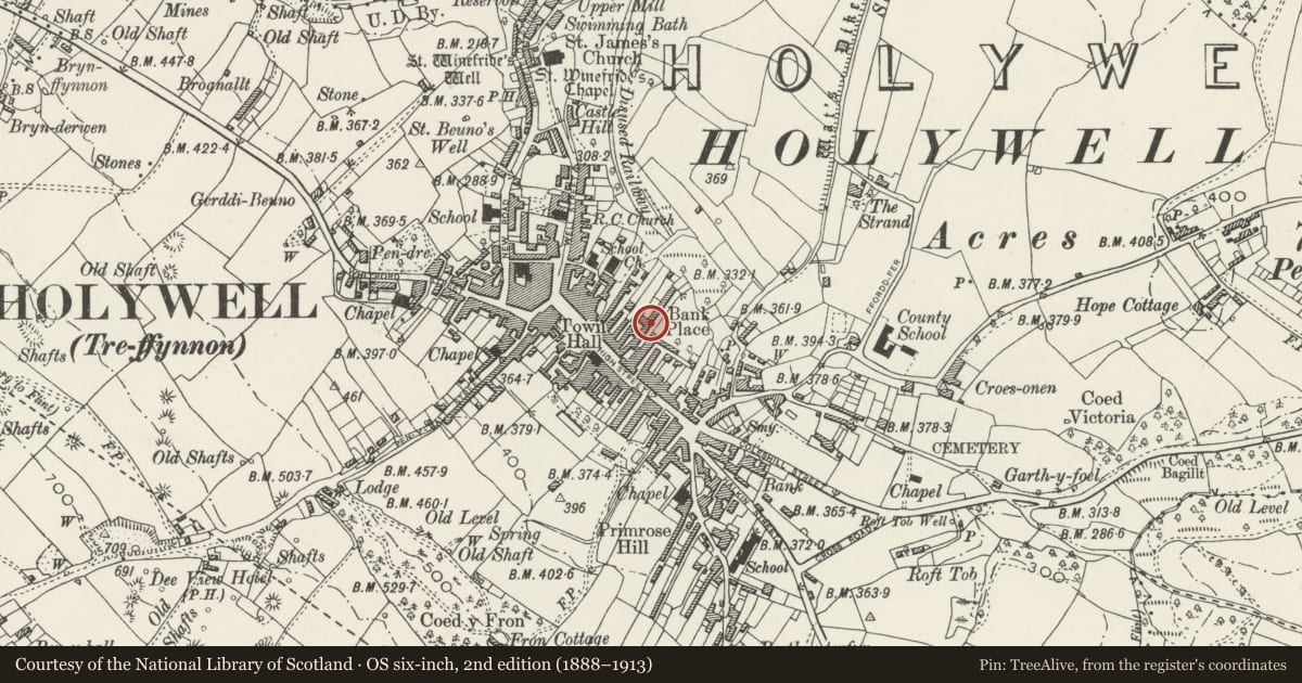 Ordnance Survey six-inch map, 2nd edition (1888–1913) covering the location of 8, Holywell, Flintshire, with a pin at the register's coordinates