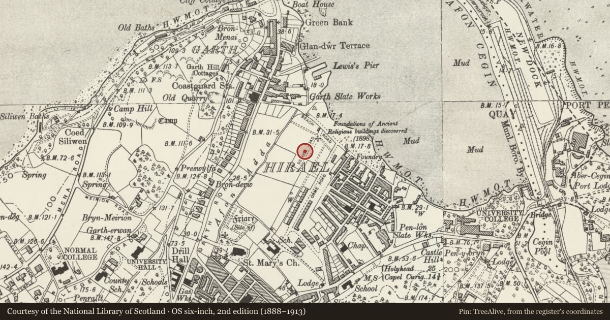 Ordnance Survey six-inch map, 2nd edition (1888–1913) covering the location of 18 Seiriol Road, Bangor, Gwynedd, with a pin at the register's coordinates