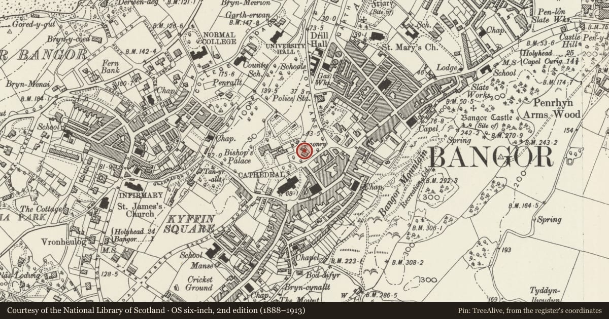 Ordnance Survey six-inch map, 2nd edition (1888–1913) covering the location of Bangor Museum & Art Gallery, including outbuilding at NW end, Gwynedd, with a pin at the register's coordinates