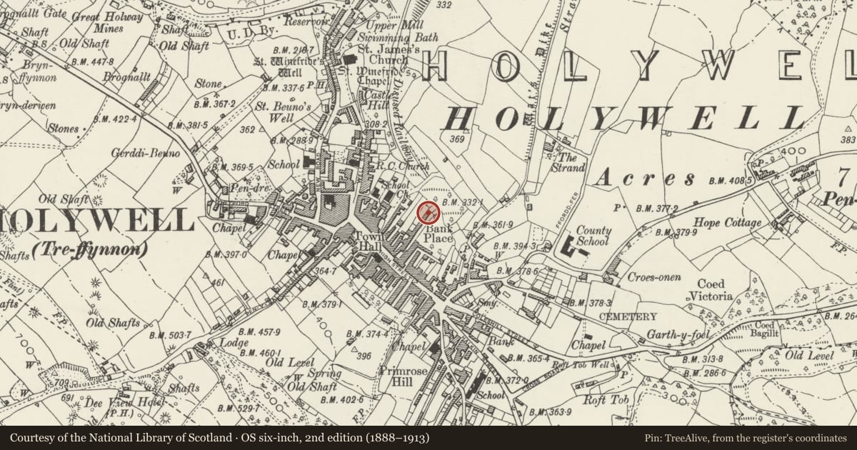 Ordnance Survey six-inch map, 2nd edition (1888–1913) covering the location of Funny Business, Holywell, Flintshire, with a pin at the register's coordinates